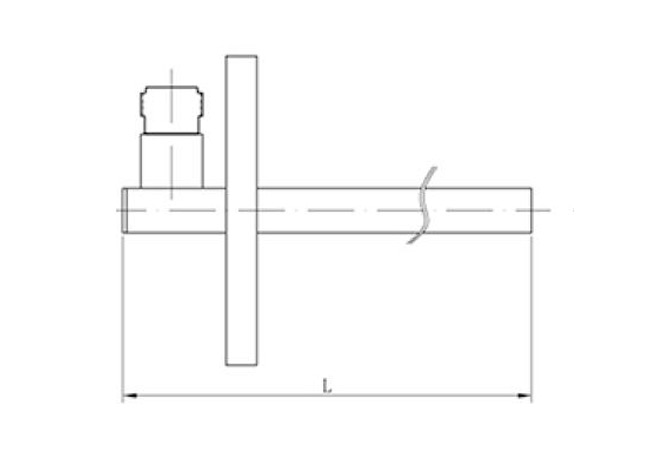 diagram of waveguide probe 1